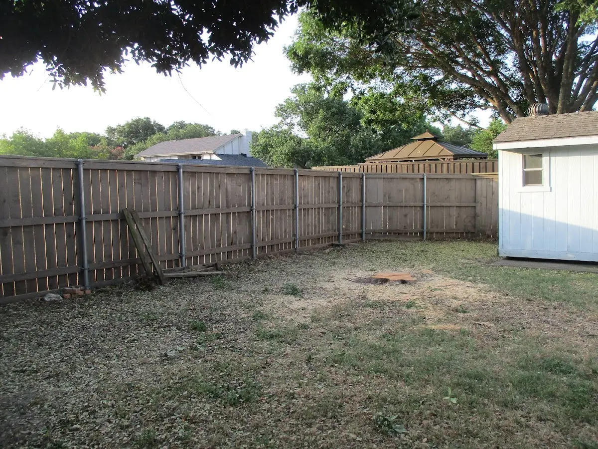 Cleared yard after professional tree removal in Gaastra